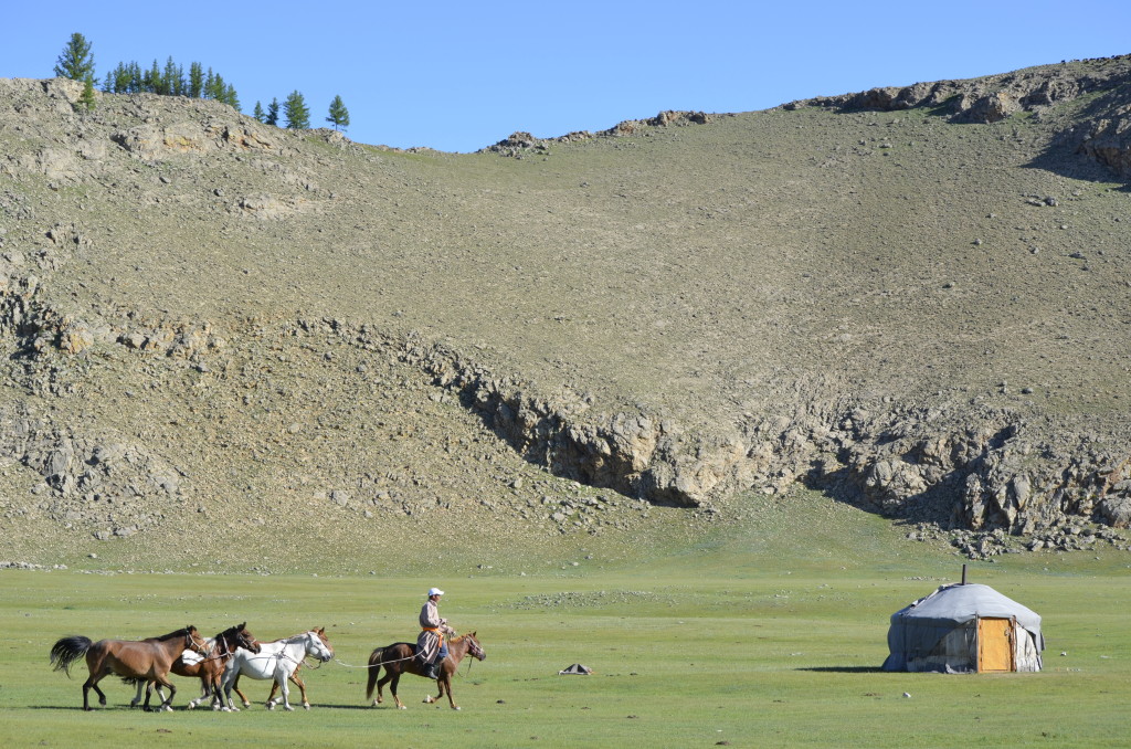 A nomadic herder rides past a traditional ger in Northern Mongolia.